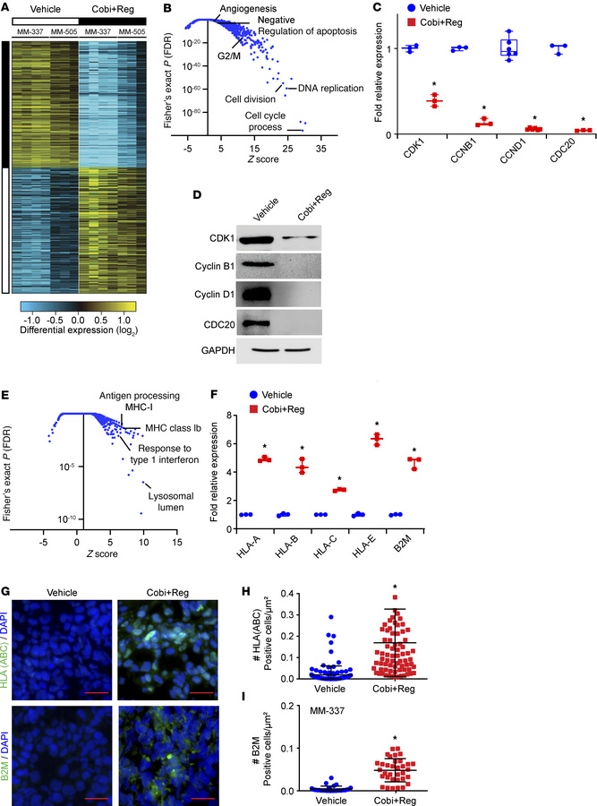 Identification of genes and cellular pathways regulated by cobimetinib p...