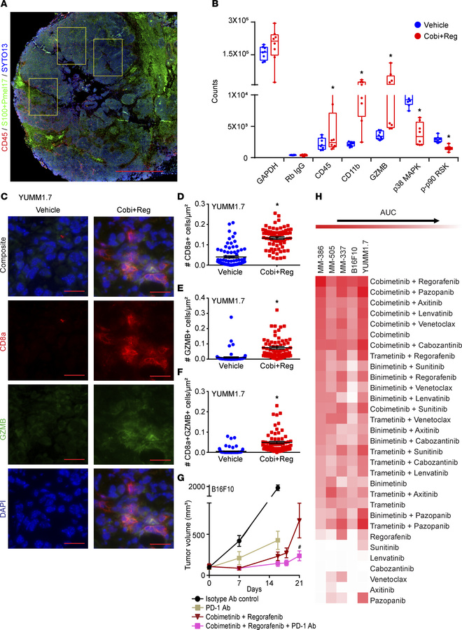 Upregulation of antigen presentation gene signature and T cell activatio...