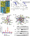 Identification of differentially expressed genes and pathways in ICB-resist