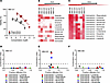 Identification of active drugs against ICB-resistant melanoma using high-th