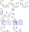 Effects of single or combination drug treatments on various cellular proces