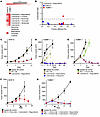 Effects of various drug combinations on murine melanoma models in culture a