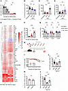 Caspase 8 is involved in virus-independent, post-influenza TR-AM death.