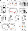 Notch1 is the critical driver of the immunogenicity of SCLC.