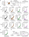 STING agonism combined with anti–PD-L1 therapy induces durable, complete an