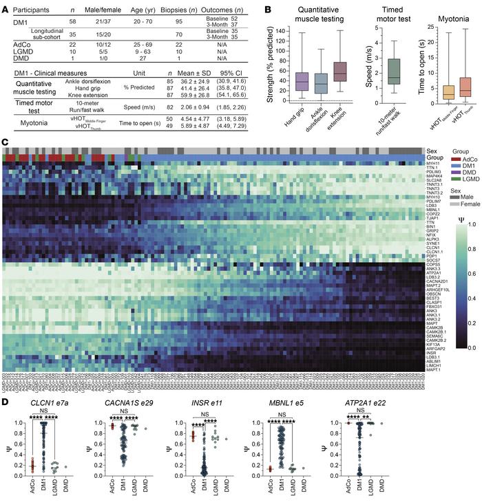DM1 participant cohort displays broad spectrum of RNA splicing dysregula...