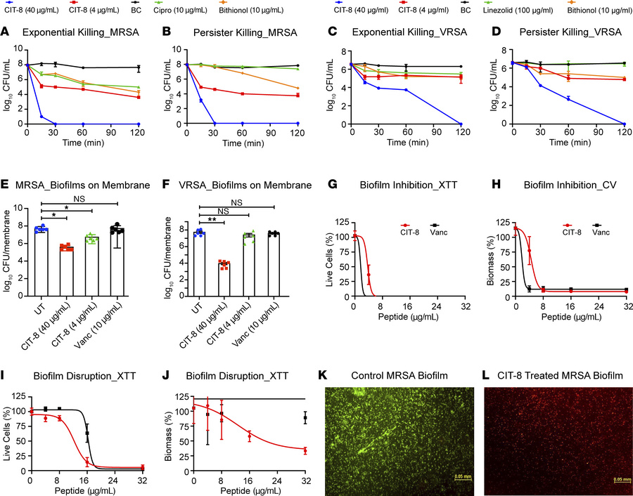 Antibiofilm and antipersister activity of CIT-8.
(A and B) Killing kinet...