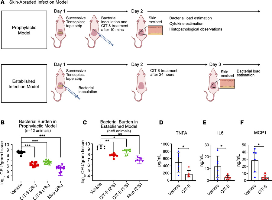 In vivo efficacy of CIT-8 in a skin-abraded murine infection model infec...