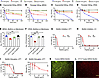 Antibiofilm and antipersister activity of CIT-8.