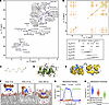 Structural insights to membrane targeting by CIT-8.
