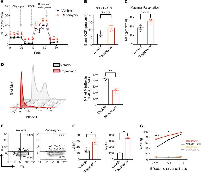 Treatment of anti-HIV CAR-T cells with rapamycin modifies cellular metab...