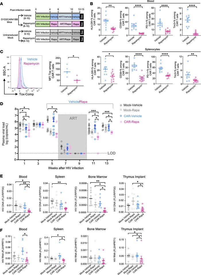 Long-term low-dose rapamycin treatment in combination with ART alleviate...