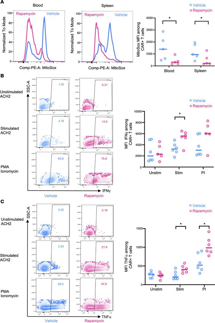Rapamycin treatment decreases mitochondrial ROS and improves CAR-T funct...