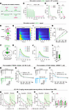 Reduced 2-AG release mediates increased presynaptic Pr and learning deficit