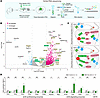 Ppp2r1a haploinsufficiency alters the transcription of eCB enzymes.