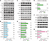 Ppp2r1a haploinsufficiency increases MAGL expression.