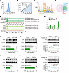 PPP2R1A regulates Magl transcription in an EZH2-dependent manner.