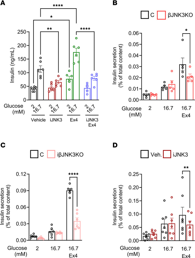 JNK3 inhibition reduces in vitro GLP-1R–mediated insulin secretion.
(A) ...