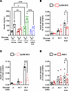 JNK3 inhibition reduces in vitro GLP-1R–mediated insulin secretion.