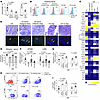 Intestinal stem cell defects exist in active Crohn’s disease.