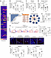 Dysfunctional Caspase-8–mediated TMEM219 signaling in Crohn’s disease.