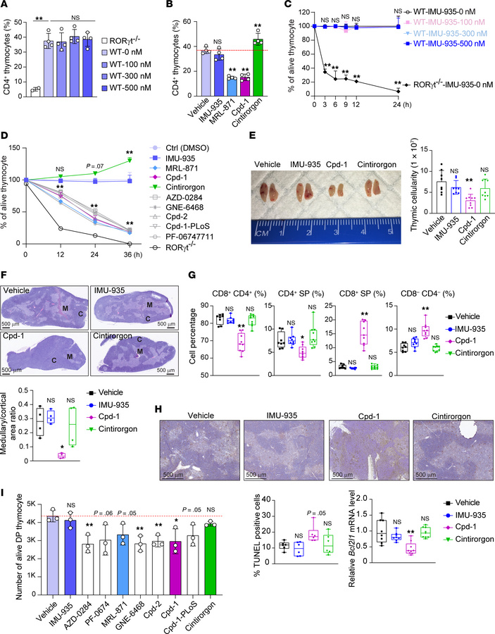 IMU-935 does not affect thymocyte development and survival.
(A and B) Fl...