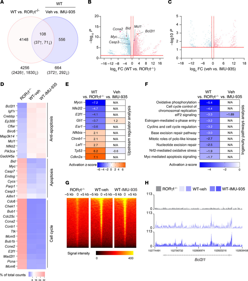IMU-935 does not affect genes critical for thymocyte survival.
(A) Venn ...