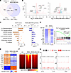 IMU-935 inhibits RORγt target genes critical for Th17 differentiation.