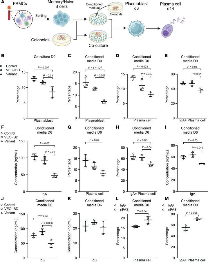 Epithelial-secreted TNFSF13 modulates differentiation of memory B cells ...