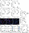 TNFSF13 augments the balance of apoptosis and proliferation through FAS-apo