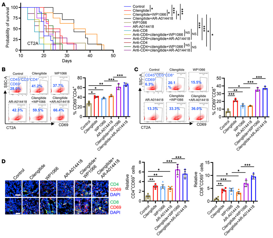 Combined inhibition of integrin αv and GSK3β or STAT3 activates antitumo...