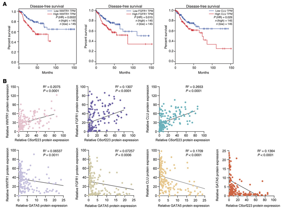 Survival analysis of GATA5 target genes and their correlation with C6orf...