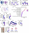Metabolic and functional characterization of MPN platelets.