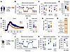 Pharmacological inhibition of autophagy impairs mitochondrial respiration a