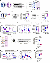 STX17 regulates platelet metabolism and function via autophagy.