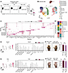 The pathogenic role of keratinocyte-derived CXCL10 in psoriatic arthritis–l