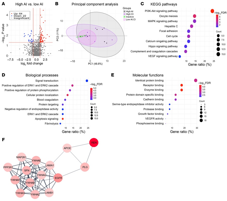 Proteins elevated in urine samples of patients with LN with high renal p...