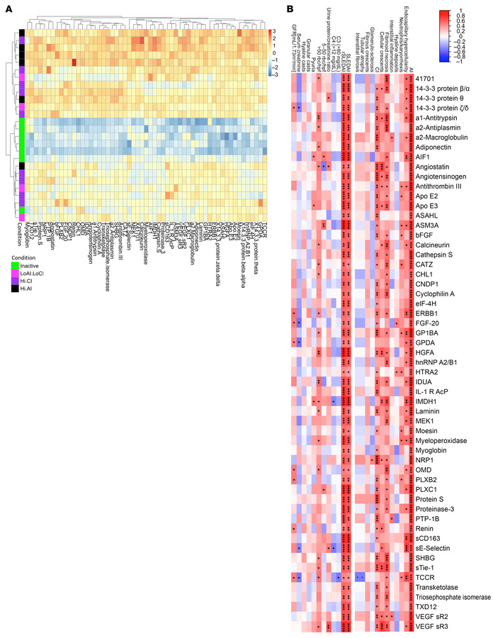 Correlation of high-AI urine proteins with renal pathology and clinical ...