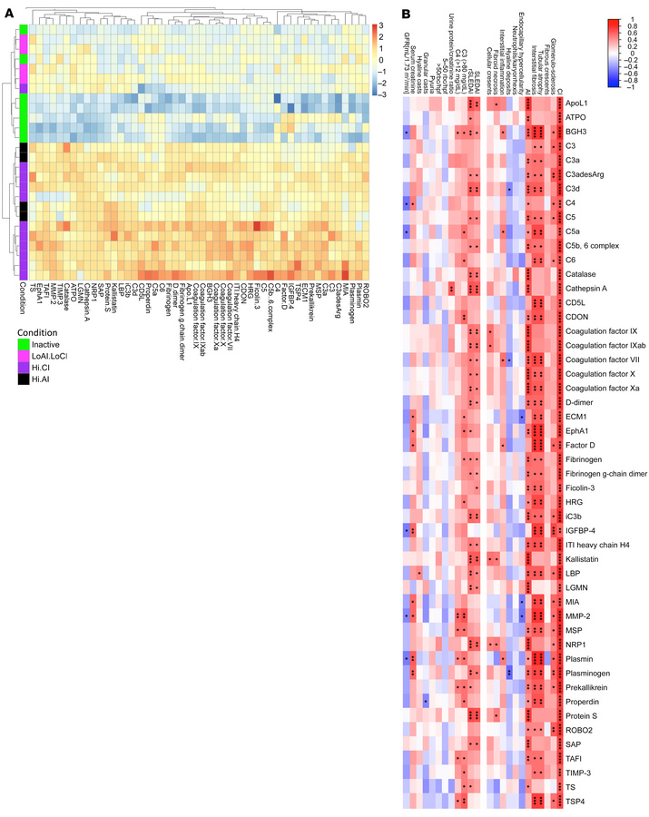 Correlation of high CI urine proteins with LN pathology and clinical par...