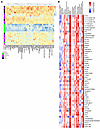 Correlation of high-AI urine proteins with renal pathology and clinical par