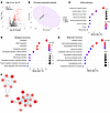 Proteins elevated in urine samples of patients with LN with high renal path