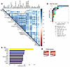 Top discriminatory proteins identifying patients with LN with high renal pa