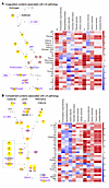 Coagulation and complement proteins associated with LN pathology.