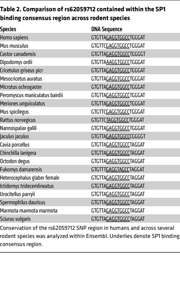 Comparison of rs62059712 contained within the SP1 binding consensus regi...