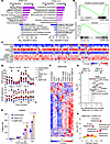 Cross-comparison of αIgM + CpG versus CD40/IL-4–driven B cell metabolism re