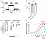 Direct EP measurements show supraphysiologic rise in EP in Tmprss3Y260X/Y26