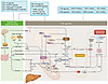 Targets in pathways contributing to elevated DNL and ceramide production in