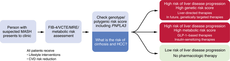 Precision medicine paradigm for MASH treatment from a genetic viewpoint....