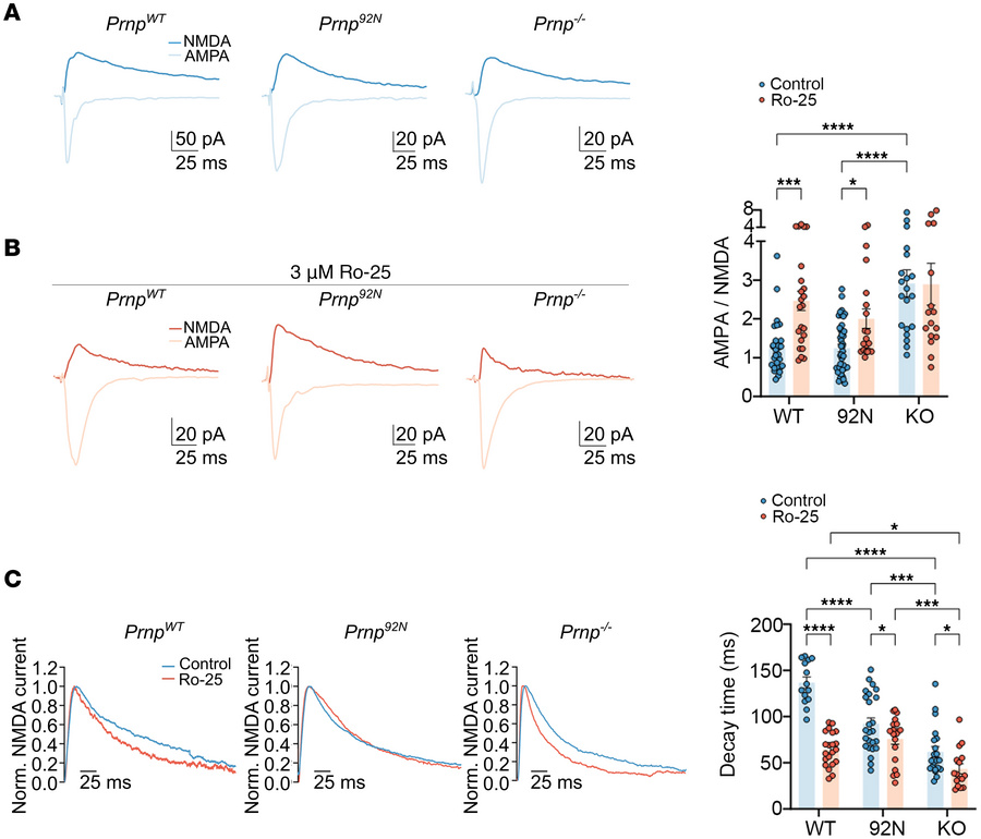 
Prnp92N neurons are insensitive to a GluN2B allosteric modulator on evo...