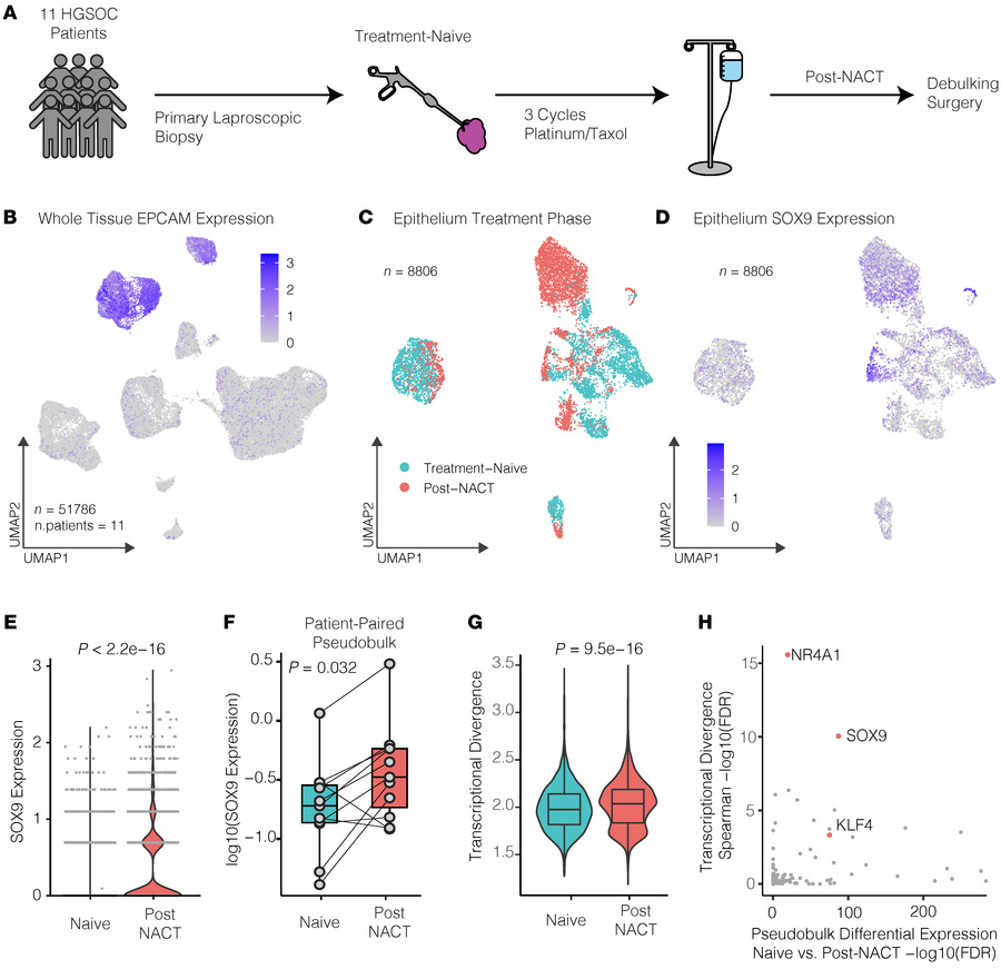 SOX9 is induced in HGSOC patients following platinum treatment and is hi...